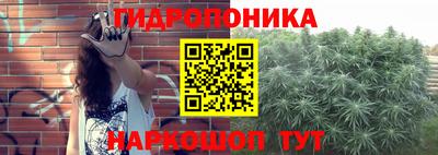 ПСИЛОЦИБИНОВЫЕ ГРИБЫ Краснознаменск