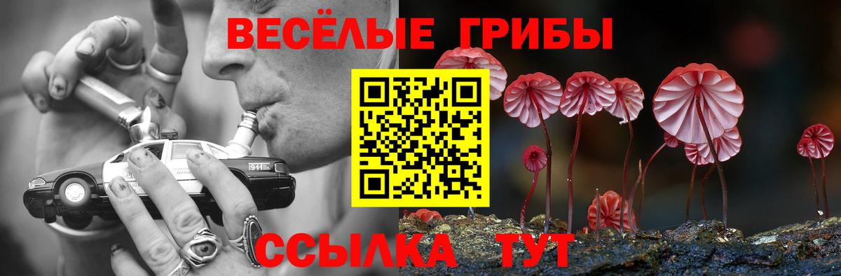Черкесск  Псилоцибиновые грибы мухоморы  Вход с VPN 